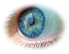 Corneal Transplantation